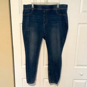Terra & Sky NWT Skinny High-Rise Pull On Jeans